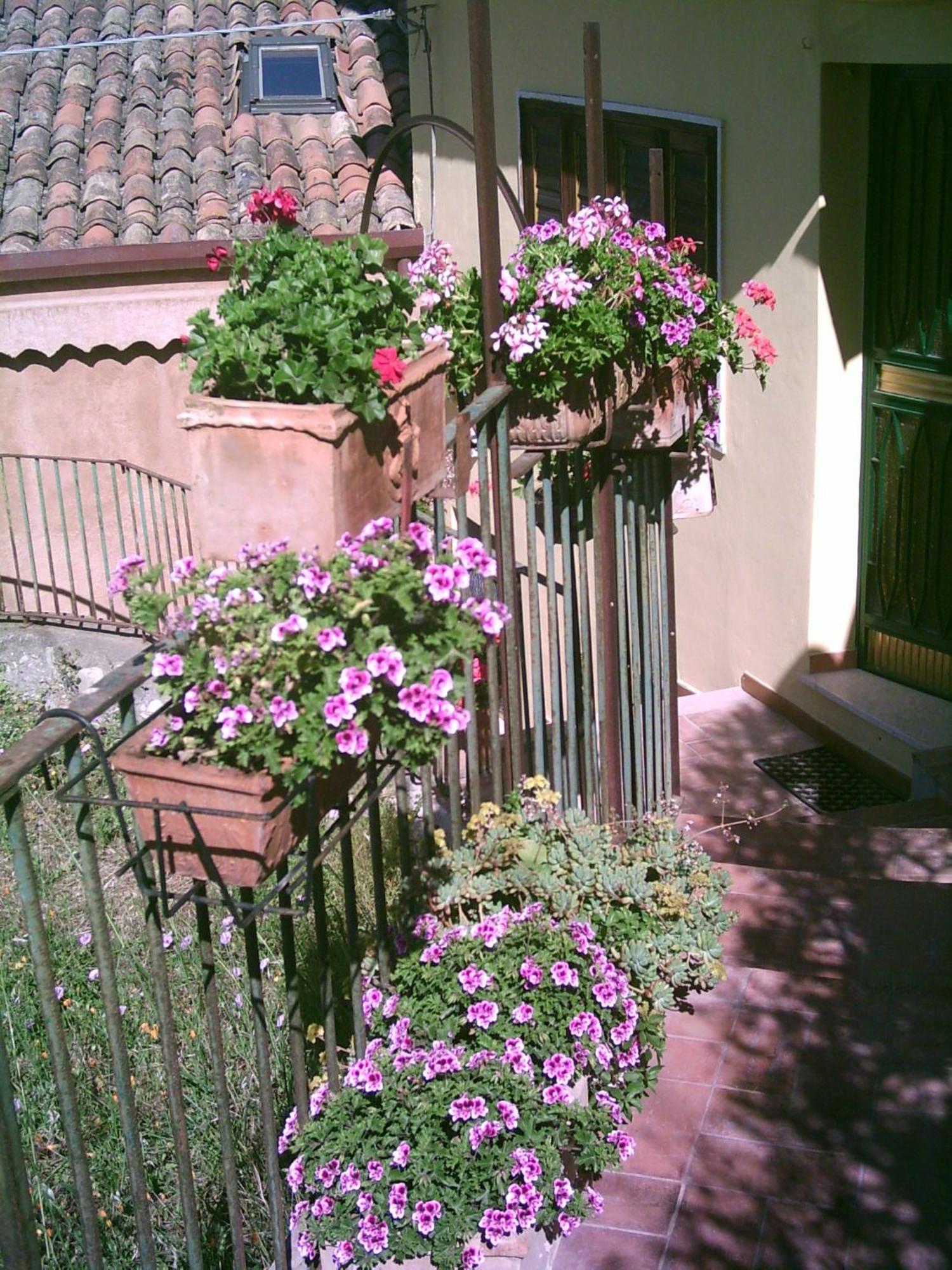 B&B U Palmentu Taormina Exteriér fotografie